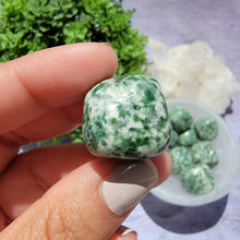 Load image into Gallery viewer, Tree Agate Tumbled Stones