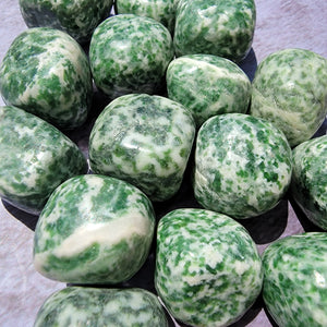 Tree Agate Tumbled Stones