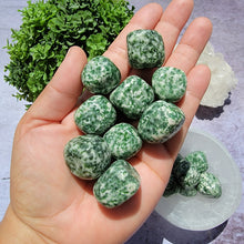 Load image into Gallery viewer, Tree Agate Tumbled Stones