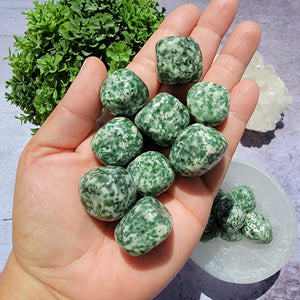 Tree Agate Tumbled Stones