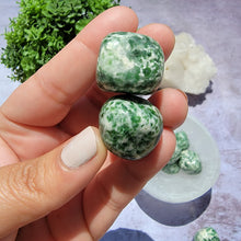 Load image into Gallery viewer, Tree Agate Tumbled Stones