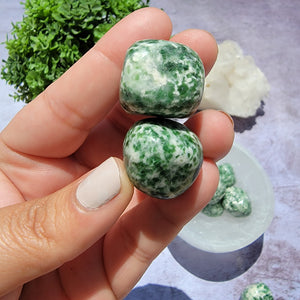 Tree Agate Tumbled Stones