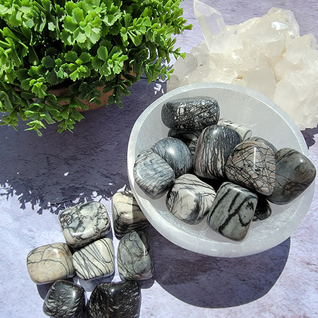 Spiderweb Jasper Tumbled Stones