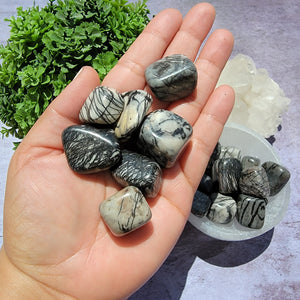 Spiderweb Jasper Tumbled Stones