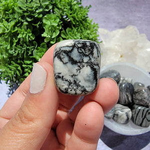 Spiderweb Jasper Tumbled Stones