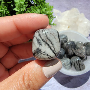 Spiderweb Jasper Tumbled Stones