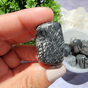 Spiderweb Jasper Tumbled Stones