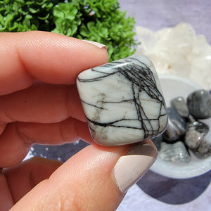 Spiderweb Jasper Tumbled Stones