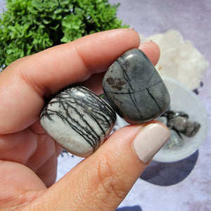 Spiderweb Jasper Tumbled Stones