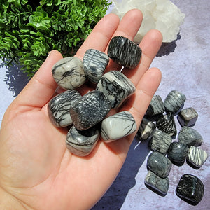 Spiderweb Jasper Tumbled Stones