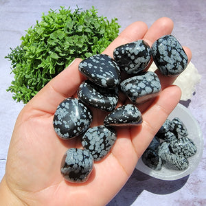 Snowflake Obsidian Tumbled Stones