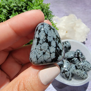 Snowflake Obsidian Tumbled Stones