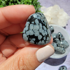 Snowflake Obsidian Tumbled Stones