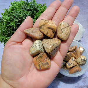 Zebradorite Tumbled Stones