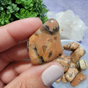 Zebradorite Tumbled Stones