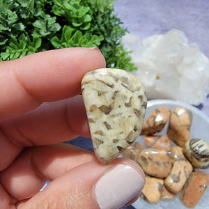 Zebradorite Tumbled Stones