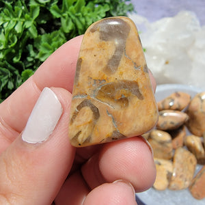 Zebradorite Tumbled Stones