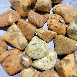 Zebradorite Tumbled Stones