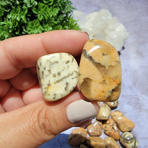 Zebradorite Tumbled Stones