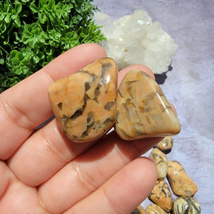 Zebradorite Tumbled Stones