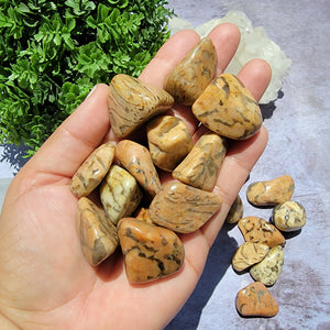 Zebradorite Tumbled Stones