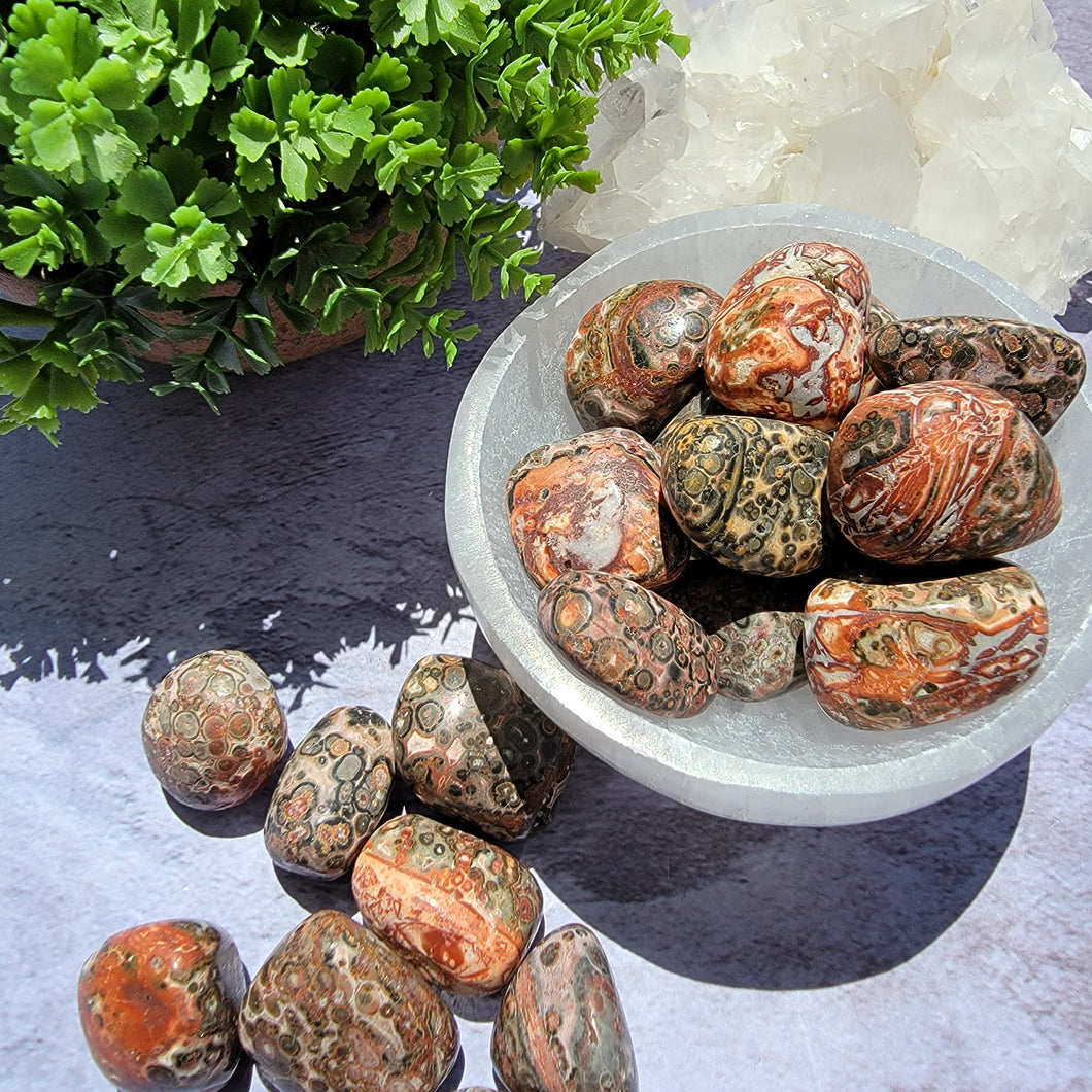 Leopard Skin Jasper Tumbled Stones