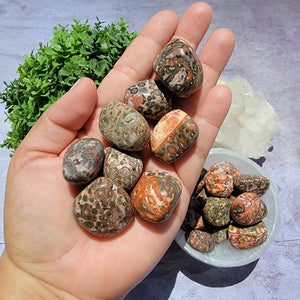 Leopard Skin Jasper Tumbled Stones