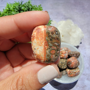 Leopard Skin Jasper Tumbled Stones