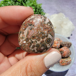 Leopard Skin Jasper Tumbled Stones