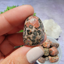 Load image into Gallery viewer, Leopard Skin Jasper Tumbled Stones