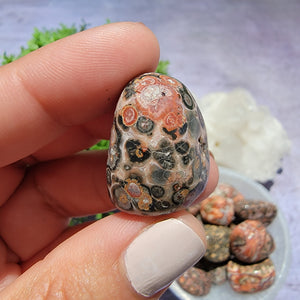 Leopard Skin Jasper Tumbled Stones