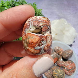 Leopard Skin Jasper Tumbled Stones