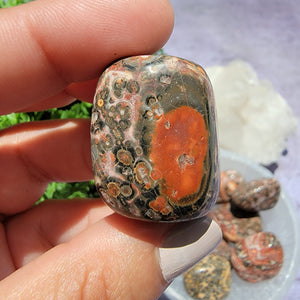 Leopard Skin Jasper Tumbled Stones