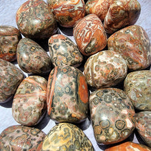 Load image into Gallery viewer, Leopard Skin Jasper Tumbled Stones