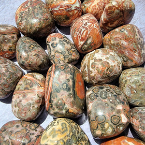 Leopard Skin Jasper Tumbled Stones