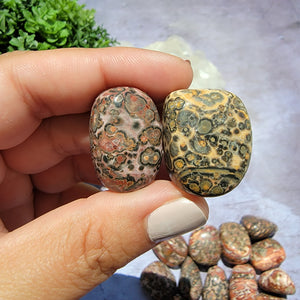 Leopard Skin Jasper Tumbled Stones