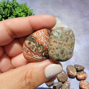 Leopard Skin Jasper Tumbled Stones