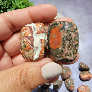 Leopard Skin Jasper Tumbled Stones