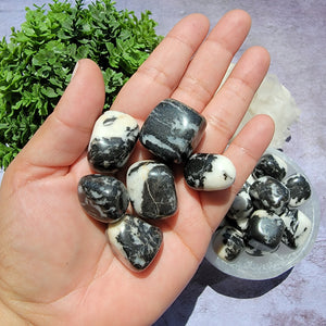 Zebra Jasper Tumbled Stones