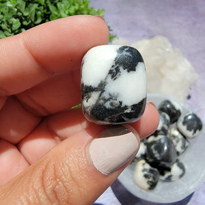 Zebra Jasper Tumbled Stones