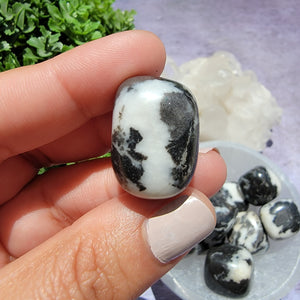 Zebra Jasper Tumbled Stones