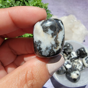 Zebra Jasper Tumbled Stones