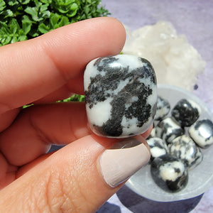 Zebra Jasper Tumbled Stones