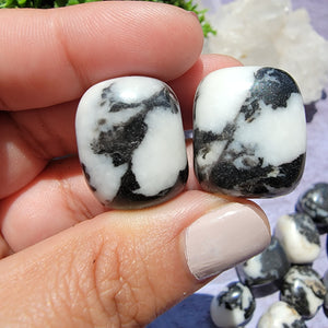 Zebra Jasper Tumbled Stones