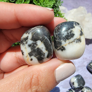 Zebra Jasper Tumbled Stones