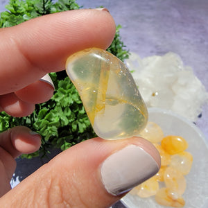 Golden Healer Tumbled Stones