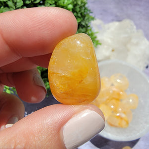 Golden Healer Tumbled Stones