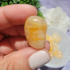 Golden Healer Tumbled Stones