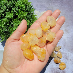 Golden Healer Tumbled Stones