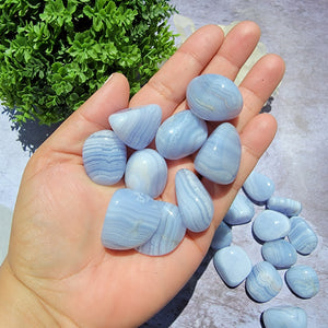 Blue Lace Agate Tumbled Stones